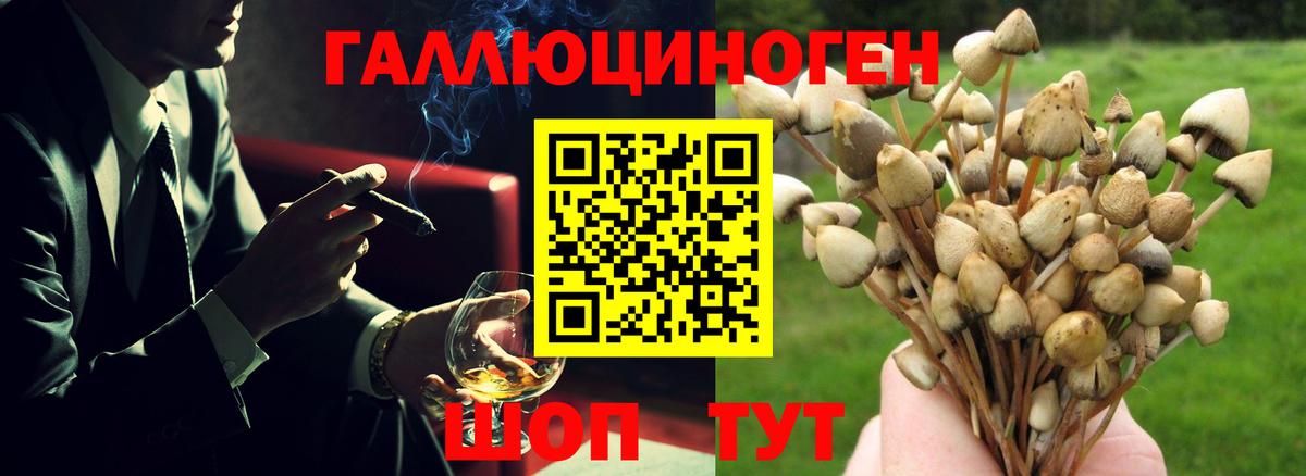 Черняховск  Псилоцибиновые грибы ЛСД  купить наркоту  Вход с VPN  Галлюциногенные грибы мухоморы 
